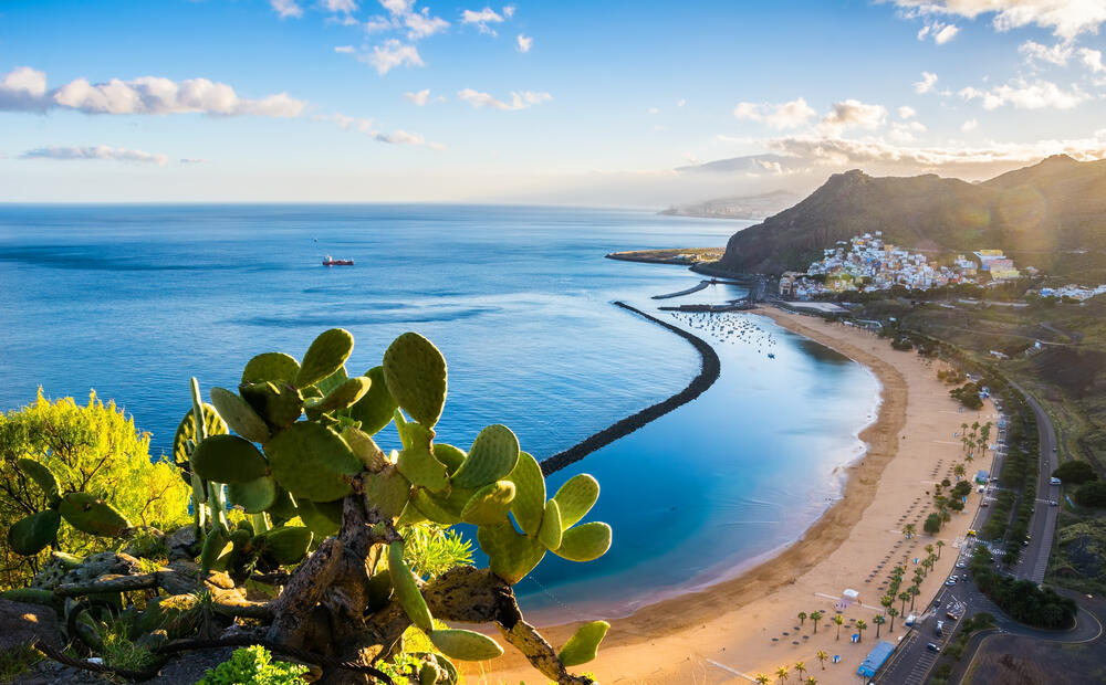 Buchungsanfrage - Inselhopping auf Teneriffa und Fuerteventura: Entdecken Sie die Vielfalt der Kanarischen Inseln